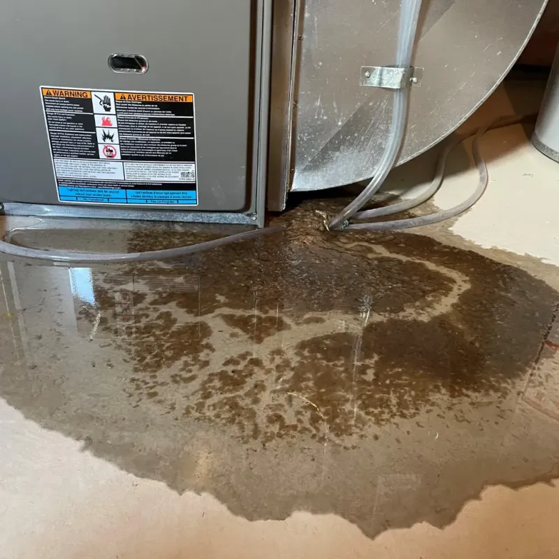 Appliance Leak Cleanup in Deer Park, WA